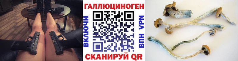 Галлюциногенные грибы Psilocybe  Иннополис 