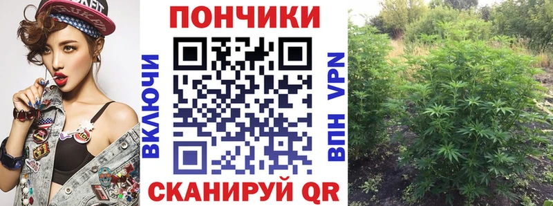 площадка клад Иннополис Марихуана тримм цена наркотик